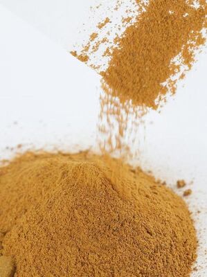 POLIDIHIDROKSINDOLE——Melamin