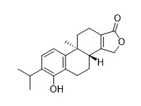 Triptophenolide White To Off White Powder Nomor CAS 74285-86-2