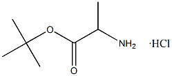 Tert-Butyl L-Alaninate Hydrochloride CAS. 13404-22-3 Putih hingga bubuk Putih 98% kemurnian Titik leleh 168-175 °C