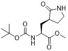 Metil (S)-2- ((boc-amino)-3-[(S)-2-oxo-3-pyrrolidinyl]propanoate 328086-60-8